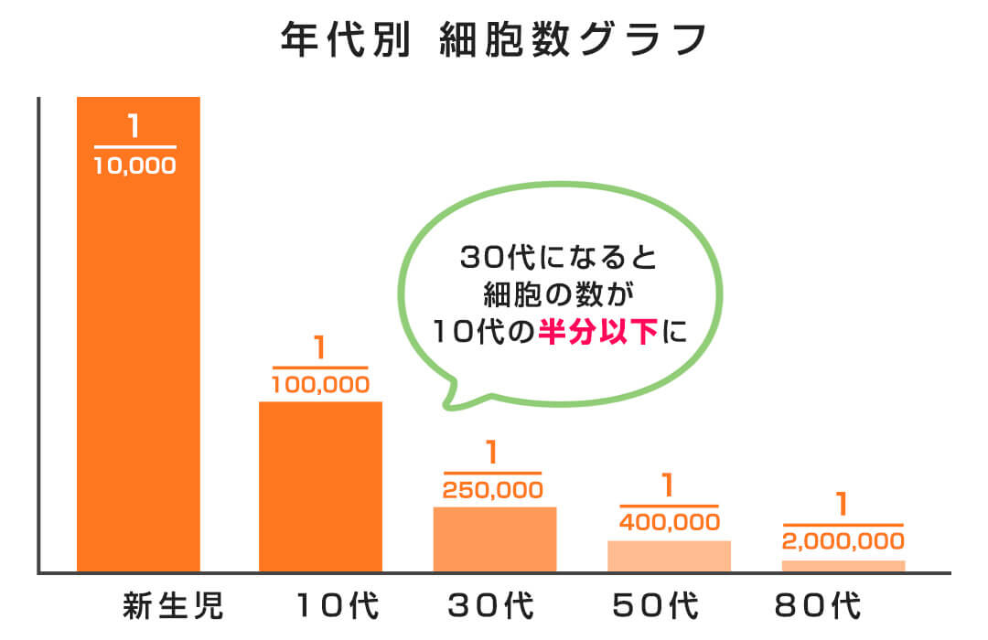年代別細胞数グラフ