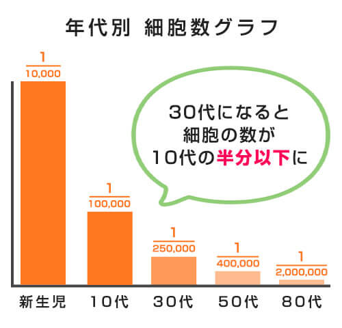 年代別細胞数グラフ